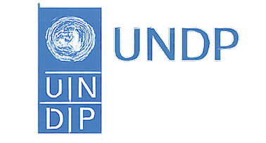 UN Badge