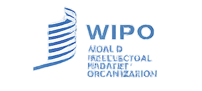 UN Badge