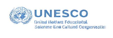 UN Badge